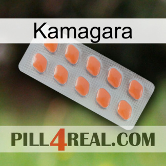 Kamagara 26